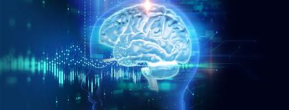 artwork showing the human brain