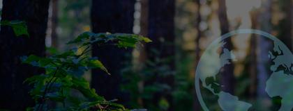 A forest floor scene with an Earth graphic overlay.