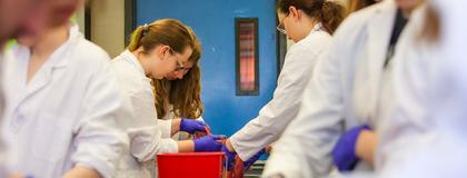 Animal Biology Major