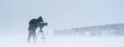 Photographer on the cold Antarctic landscape with a group of penguins.
