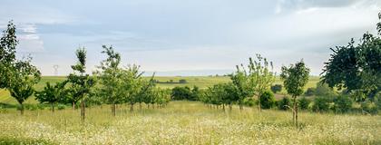 Environment and Resource Management Major